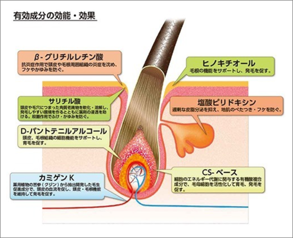 薬用レディース加美乃素EX