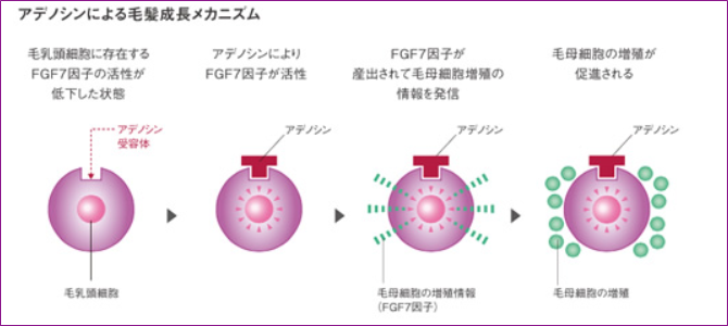 アデノバイタルスカルプエッセンス