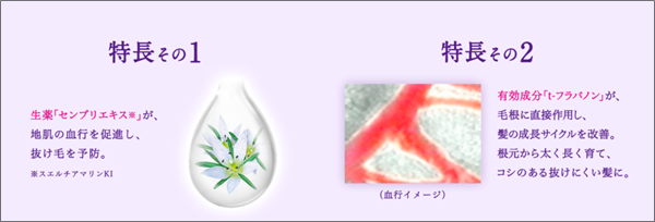 セグレタ育毛エッセンス
