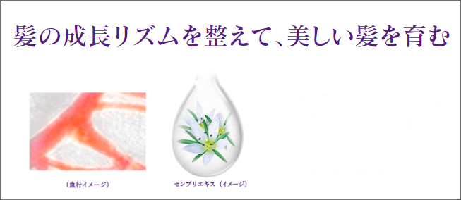 セグレタ髪を育むスプレー